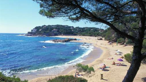 Une Plage Espagnole évacuée Après Une Menace Dattentat