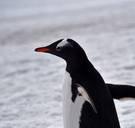 Deze topfilm mag u vanavond niet missen op tv