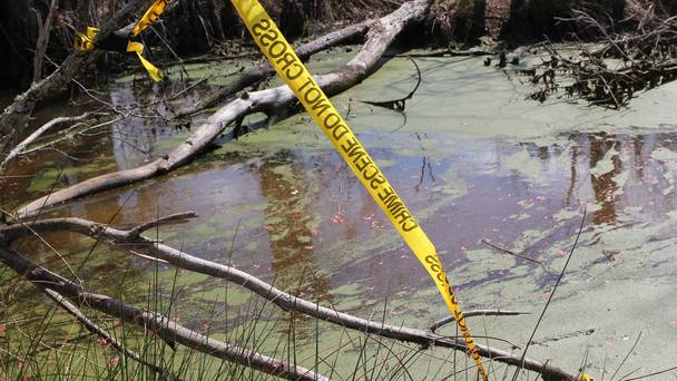 Swamp Murders
