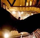 Onze streaming- en kijktips voor een geslaagde tv-avond