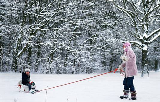 Een vrouw trekt een kind op een slee door de sneeuw in het Rotterdamse Kralingse Bos.
