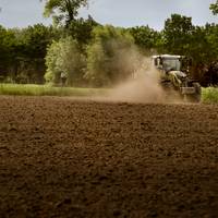 Experten doen 29 aanbevelingen voor natuur in Vlaanderen: ‘We blijven inzetten op recepten die niet werken’