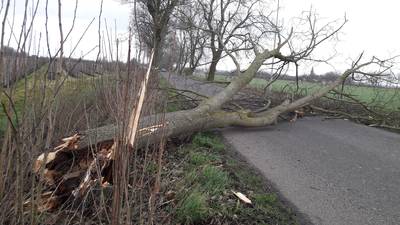 Hulpdiensten rukten 13 keer uit voor Maas en Waalse ‘windproblemen’