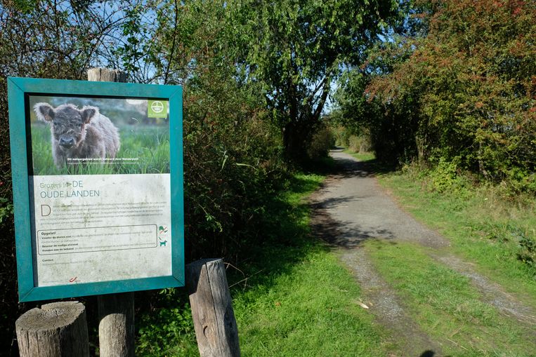 Aan de ingangen van het park staan borden waarop wandelaars attent worden gemaakt op de aanwezigheid van de dieren.