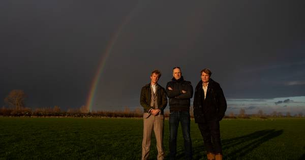 Reactie op windplan Bergsche Maas: 'Kennis over windenergie is zó beperkt' - BD.nl