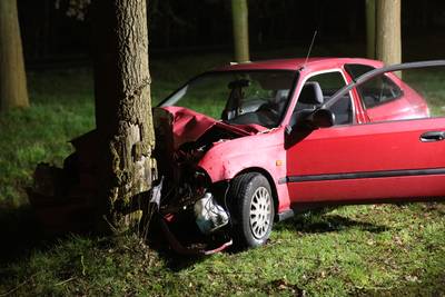 Twee gewonden bij botsing tegen boom in Zegge