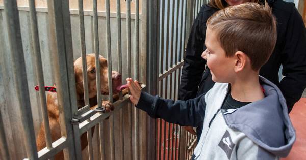 Open dag van dierenopvang Bruchem krijgt extra tintje - BD.nl