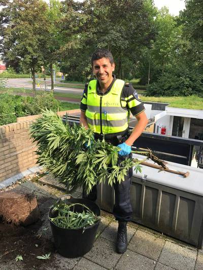 Teamchef schrikt van ophef rond agent die wietplanten van balkon haalde