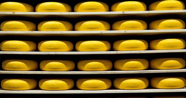 Boerenkaas uit de schappen vanwege poepbacterie | Binnenland - AD.nl