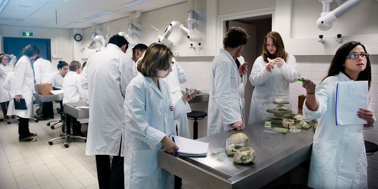 Er Zijn Genoeg Hoofden Te Krijgen In Nederland Volgens Het Amc Trouw