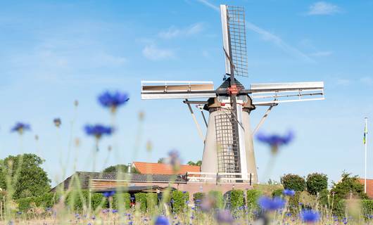 Dit zijn de 7 mooiste molenwandelroutes van Nederland