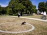 In Het Park in Rotterdam zijn door de gemeente cirkels op het gras aangebracht. Bezoekers worden gevraagd plaats te nemen in de cirkels. De gemeente hoopt op deze manier de 1,5 meter afstand te kunnen waarborgen.