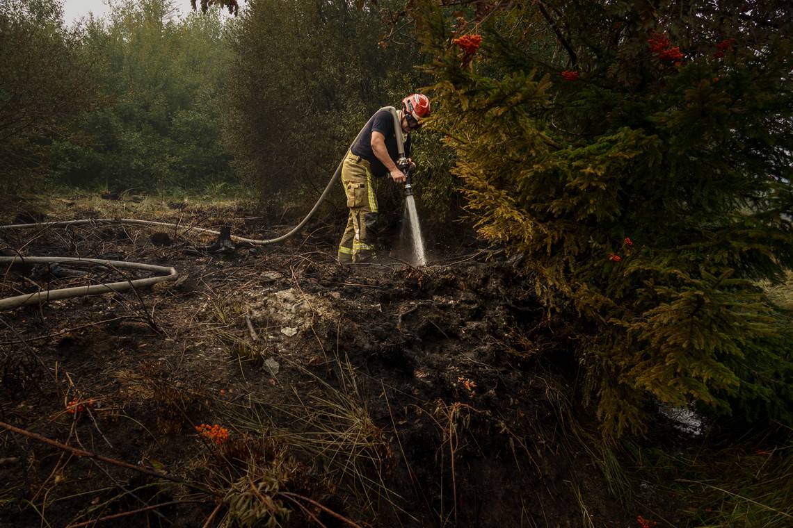 ‘Alles wat overblijft, is een maanlandschap’: zo beleven de Hoge Venen de natuurbrand