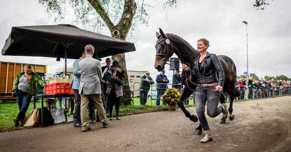 Military Boekelo zonder Tim Lips | Military 2019 - Tubantia