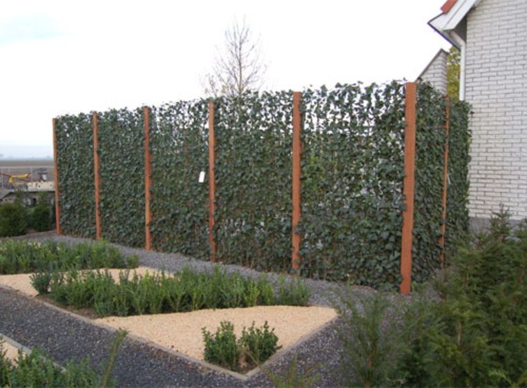 Afscheiding Tuin Planten GCD52 AGBC