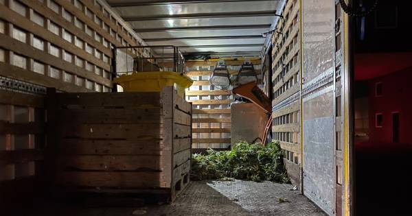 Politie treft hennepkwekerij in bedrijfspand in Harderwijk aan.