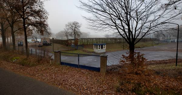 Andere aanpak van sportvelden in Bladel | Kempen - Eindhovens Dagblad