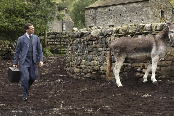 All Creatures Great & Small