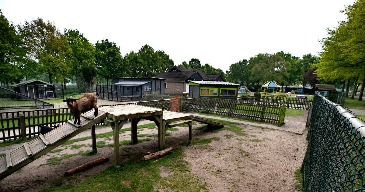 Kinderboerderij De Veldhoeve In Helmond Noord Kan Door Helmond Ed Nl