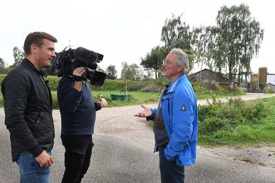 Denen leren van Brabantse varkens