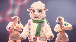 Schaapje duikt het The Masked Singer-publiek in