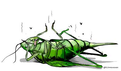 Megaproces frauduleuze beleggers: Verstand van obligaties? ‘Nul. Ik kan niet eens rekenen’