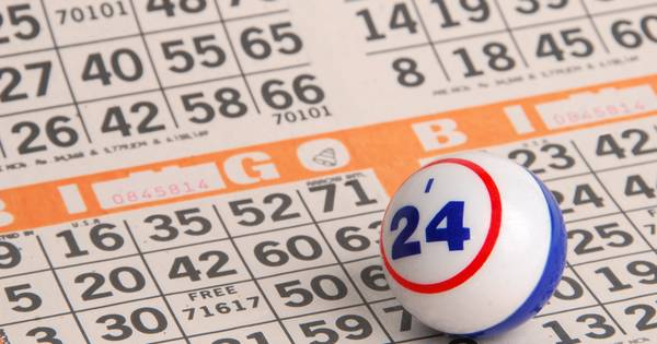 Bingomiddag voor senioren in Reek