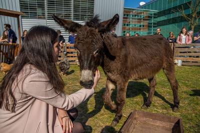 Ah zielig! Voorzichtig aaien maar: ‘We hebben vervelende telefoontjes gehad’
