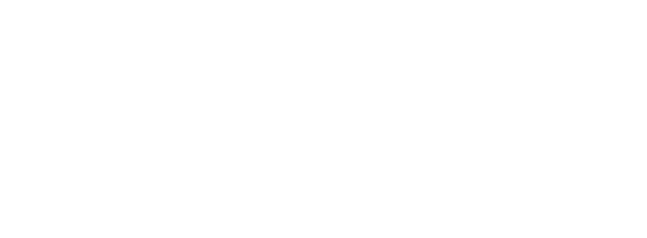 The Bricklayer