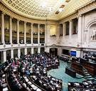 Dan toch klimaatwet? Artikel 7bis van de Grondwet opnieuw voor herziening vatbaar verklaard