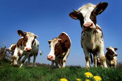 De sloophamer kan eindelijk ter hand: plannen op 91 erven in Hof van Twente kunnen doorgaan