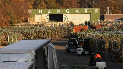 Ruim 500.000 kerstbomen op Twente Airport: 'Het is moeilijker dan we dachten'