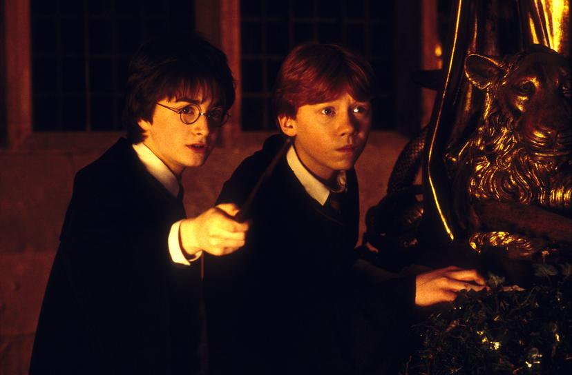 Daniel Radcliffe en Rupert Grint in Harry Potter