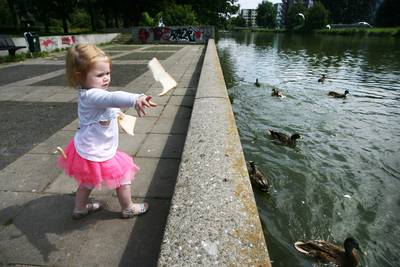 ​Amsterdamse eendjes voeren mag niet meer: 70 euro boete