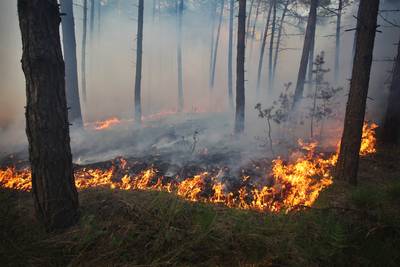 Volop winter: bosbrandvluchten boven Veluwe