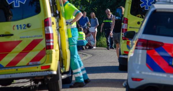 Paarden slaan op hol in Riel, twee kinderen gewond