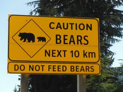 Beer doodt jonge hardloper in Alaska