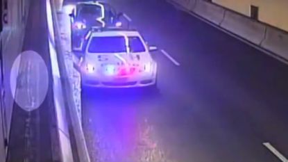 Verloren gelopen kat overleeft druk verkeer in Sydney Harbour Tunnel