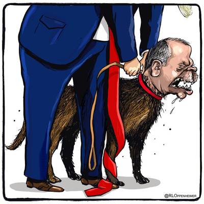 Erdogan niet blij met Nederlandse spotprenten