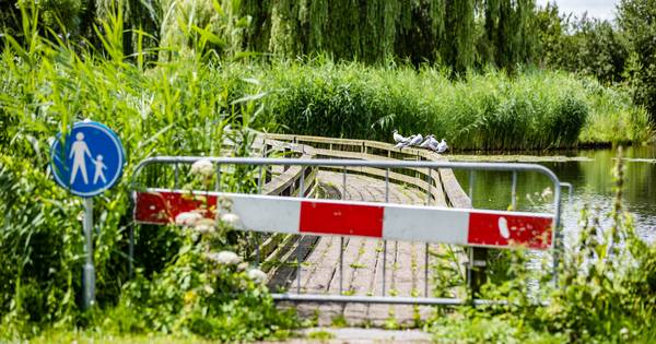 Ommen gaat alle bruggen inspecteren | Ommen - De Stentor