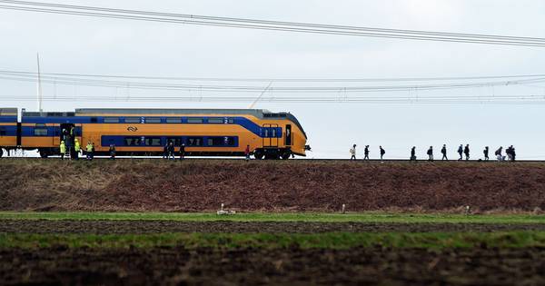 Storm laat ravage achter in West-Brabant, politie krijgt 1500 meldingen - BN DeStem