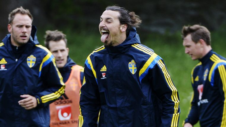 Zweedse bondscoach: "Zlatan speelt maximum 60 minuten tegen België" | WK voetbal | Sport | HLN