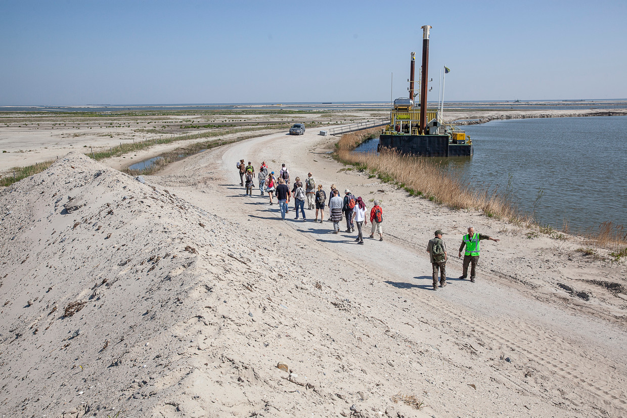 marker wadden tour