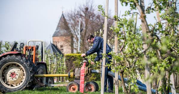 Fruittelers beleven spannende nachten met vrieskou op komst