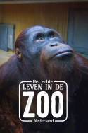 boxcover van Het echte leven in de ZOO NL