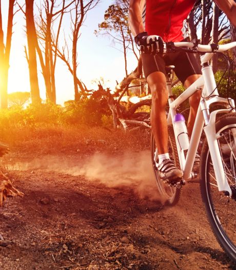 Uitgekeken op de mountainbikeroutes op de Brabantse Wal? Dan gaat bij Essen een mtb-walhalla voor je open