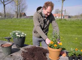 5x tips voor succesvol tuinieren in potten
