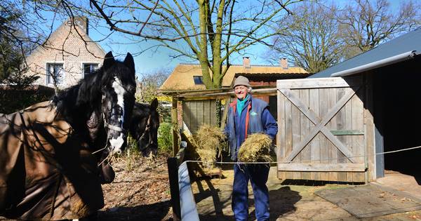 Buurvrouw vindt dat echtpaar uit Liessel huis uit moet - Eindhovens Dagblad