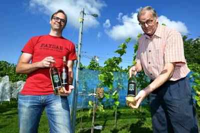 Zilveren medaille voor Rug en Rijn bij wijnkeuring