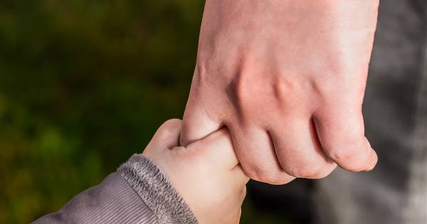 Rotterdam Heeft De Meeste Alleenstaande Moeders Van Nederland Rotterdam Ad Nl